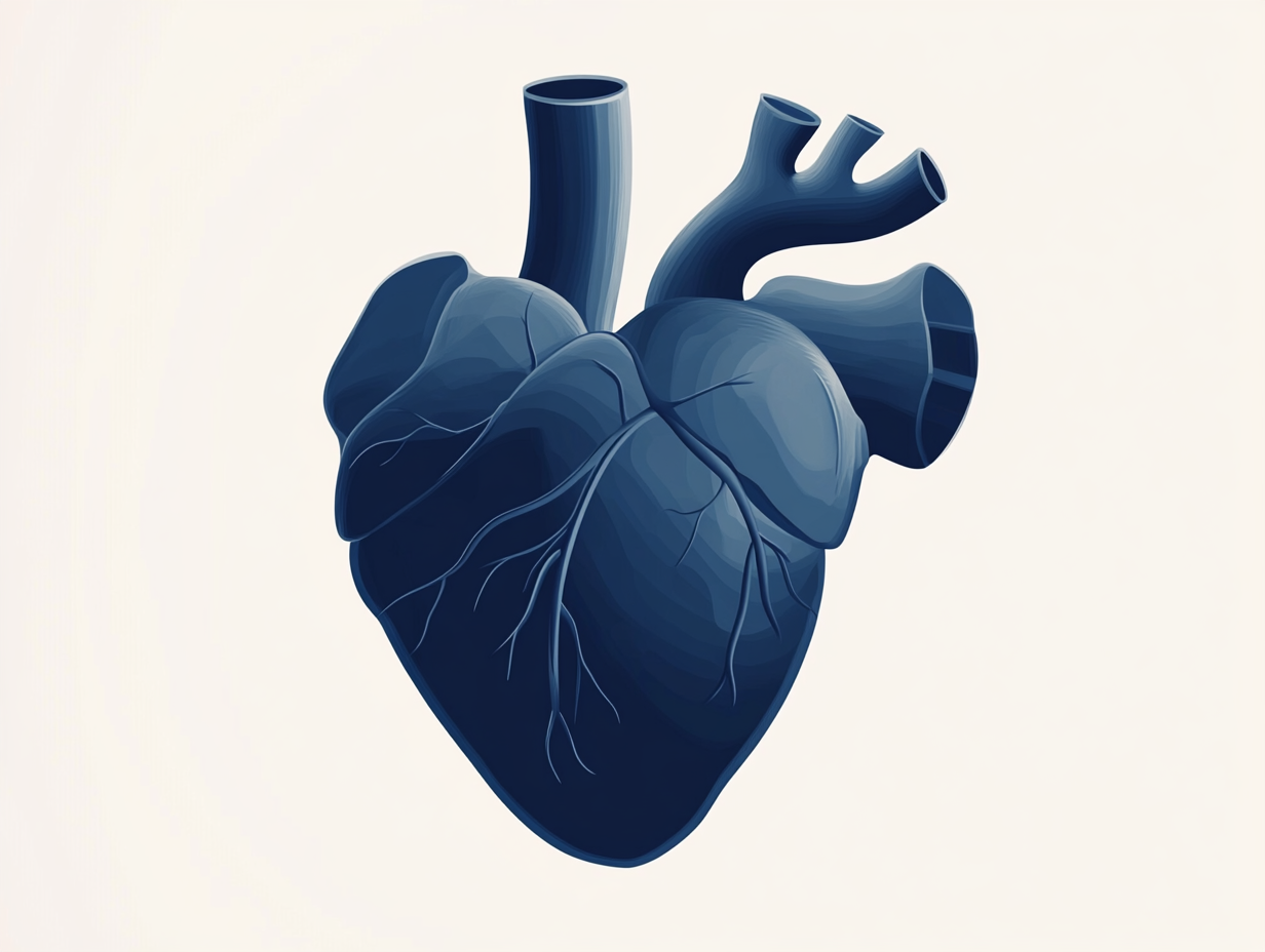 Kalp Kapak Cerrahisi